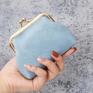 Light blue vintage style coin purse kiss lock closure
